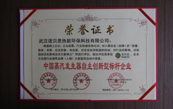 中国蒸汽发生器自主创新型标杆企业