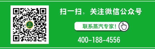 食品专用蒸汽发生器用于葡萄酒酿和管道灭菌消毒